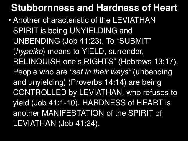 Image result for The spirit of Leviathan