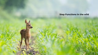 Step Functions in the wild
 