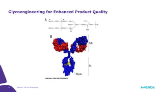 13 Webinar: Cell Line Engineering
Glycoengineering for Enhanced Product Quality
 