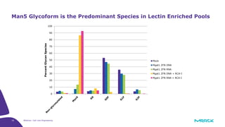 18 Webinar: Cell Line Engineering
Man5 Glycoform is the Predominant Species in Lectin Enriched Pools
0
10
20
30
40
50
60
70
80
90
100
PercentGlycanSpecies
Mock
Mgat1 ZFN DNA
Mgat1 ZFN RNA
Mgat1 ZFN DNA + RCA-I
Mgat1 ZFN RNA + RCA-I
 