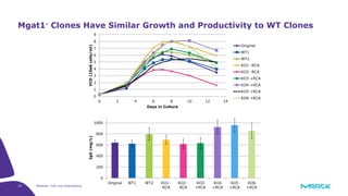 19 Webinar: Cell Line Engineering
Mgat1- Clones Have Similar Growth and Productivity to WT Clones
0
1
2
3
4
5
6
7
8
9
0 2 4 6 8 10 12 14
VCD(10e6cells/ml)
Days in Culture
Original
WT1
WT2
KO1 -RCA
KO2 -RCA
KO3 +RCA
KO4 +RCA
KO5 +RCA
KO6 +RCA
0
200
400
600
800
1000
Original WT1 WT2 KO1 -
RCA
KO2 -
RCA
KO3
+RCA
KO4
+RCA
KO5
+RCA
KO6
+RCA
IgG(mg/L)
 