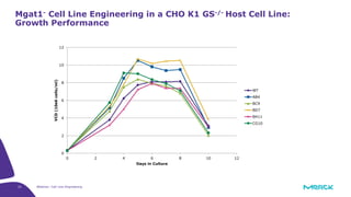 21 Webinar: Cell Line Engineering
Mgat1- Cell Line Engineering in a CHO K1 GS-/- Host Cell Line:
Growth Performance
0
2
4
6
8
10
12
0 2 4 6 8 10 12
VCD(10e6cells/ml)
Days in Culture
WT
AB4
BC9
BD7
BH11
CG10
 