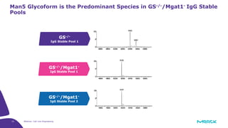 23 Webinar: Cell Line Engineering
Man5 Glycoform is the Predominant Species in GS-/-/Mgat1- IgG Stable
Pools
GS-/-
IgG Stable Pool 1
GS-/-/Mgat1-
IgG Stable Pool 1
GS-/-/Mgat1-
IgG Stable Pool 2
 