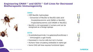 24 Webinar: Cell Line Engineering
Engineering CMAH-/- and GGTA-/- Cell Lines for Decreased
Biotherapeutic Immunogenicity
CMAH
 CMP-Neu5Ac hydroxylase
 Conversion of Neu5Ac to Neu5Gc sialic acid
 N-acetylneuraminic acid (NANA or Neu5Ac)
 N-glycolylneuraminic acid (NGNA or Neu5Gc)
 Neu5Gc is not expressed in humans and can be
recognized as a foreign epitope
GGTA
 N-acetyllactosaminide 3-α-galactosyltransferase-1
 Immunogenic α-gal moiety
 Expressed in murine cells but not in human
 Humans have circulating antibodies to alpha-gal
 Some CHO cell lines express functional Ggta1
 