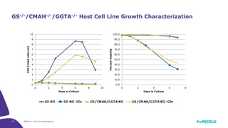 26 Webinar: Cell Line Engineering
GS-/-/CMAH-/-/GGTA-/- Host Cell Line Growth Characterization
0
1
2
3
4
5
6
7
8
9
10
0 2 4 6 8 10
VCD(10e6cells/ml)
Days in Culture
0.0
10.0
20.0
30.0
40.0
50.0
60.0
70.0
80.0
90.0
100.0
0 2 4 6 8
PercentViability
Days in Culture
 