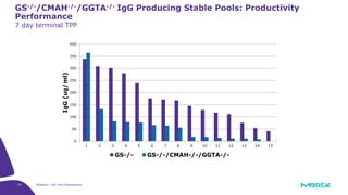 27 Webinar: Cell Line Engineering
GS-/-/CMAH-/-/GGTA-/- IgG Producing Stable Pools: Productivity
Performance
7 day terminal TPP
0
50
100
150
200
250
300
350
400
1 2 3 4 5 6 7 8 9 10 11 12 13 14 15
IgG(ug/ml)
GS-/- GS-/-/CMAH-/-/GGTA-/-
 