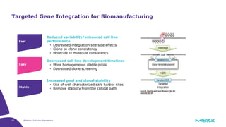 28 Webinar: Cell Line Engineering
Targeted Gene Integration for Biomanufacturing
Reduced variability/enhanced cell line
performance
• Decreased integration site side effects
• Clone to clone consistency
• Molecule to molecule consistency
Decreased cell line development timelines
• More homogeneous stable pools
• Decreased clone screening
Increased pool and clonal stability
• Use of well characterized safe harbor sites
• Remove stability from the critical path
 