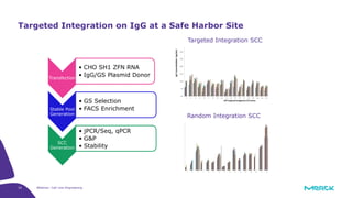 32 Webinar: Cell Line Engineering
Targeted Integration on IgG at a Safe Harbor Site
Transfection
• CHO SH1 ZFN RNA
• IgG/GS Plasmid Donor
Stable Pool
Generation
• GS Selection
• FACS Enrichment
SCC
Generation
• jPCR/Seq, qPCR
• G&P
• Stability
Targeted Integration SCC
Random Integration SCC
 