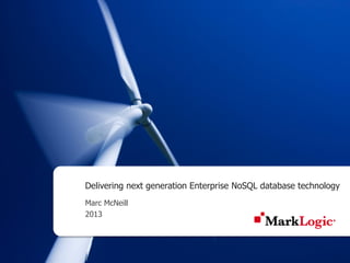 Delivering next generation Enterprise NoSQL database technology
Marc McNeill
2013
 