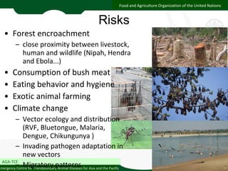 Delivering one health Asia/ASEAN