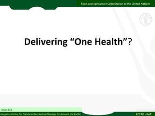 Delivering one health Asia/ASEAN