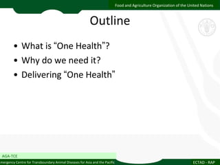 Delivering one health Asia/ASEAN