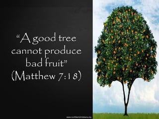 “A good tree
cannot produce
   bad fruit”
(Matthew 7:18)


          www.confidentchristians.org
 