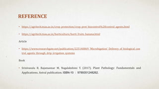 REFERENCE
• https://agritech.tnau.ac.in/crop_protection/crop_prot_biocontrol%20control_agents.html
• https://agritech.tnau.ac.in/horticulture/horti_fruits_banana.html
Article
• https://www.researchgate.net/publication/225140869_'Microbigation'_Delivery_of_biological_con
trol_agents_through_drip_irrigation_systems
Book
• Srinivasulu B, Rajamannar M, Nagalakshimi T. (2017). Plant Pathology: Fundamentals and
Applications. Astral publication. ISBN-10 : 9789351248262.
 