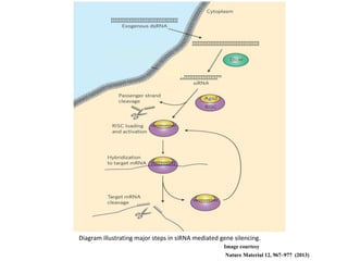 Image courtesy
Nature Material 12, 967–977 (2013)
Diagram illustrating major steps in siRNA mediated gene silencing.
 