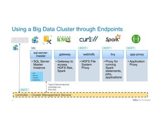 27
Using a Big Data Cluster through Endpoints
sql-server-
master
• SQL Server
Master
Instance
gateway
• Gateway to
access
HDFS files,
Spark
webhdfs
• HDFS File
System
Proxy
livy
• Proxy for
running
Spark
statements,
jobs,
applications
app-proxy
• Application
Proxy
sql-
server-
master-
readonly
controller – Cluster Management Service
"/api/v1/bdc/endpoints
 