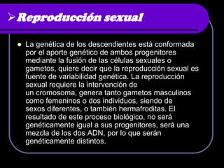 Reproducción sexual

    La genética de los descendientes está conformada
     por el aporte genético de ambos progenitores
     mediante la fusión de las células sexuales o
     gametos, quiere decir que la reproducción sexual es
     fuente de variabilidad genética. La reproducción
     sexual requiere la intervención de
     un cromosoma, genera tanto gametos masculinos
     como femeninos o dos individuos, siendo de
     sexos diferentes, o también hermafroditas. El
     resultado de este proceso biológico, no será
     genéticamente igual a sus progenitores, será una
     mezcla de los dos ADN, por lo que serán
     genéticamente distintos.
 