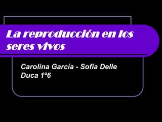 La reproducción en los
seres vivos
  Carolina García - Sofía Delle
  Duca 1º6
 