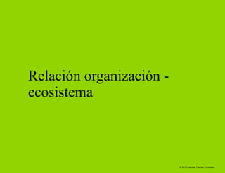 Relación organización - ecosistema 
