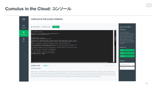23
Cumulus in the Cloud:
 