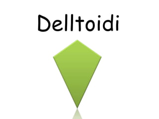 Delltoidi
 