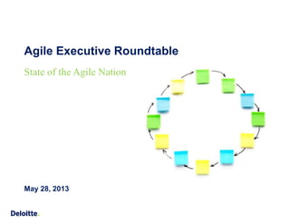 Agile Executive Roundtable 
State of the Agile Nation 
May 28, 2013 
 