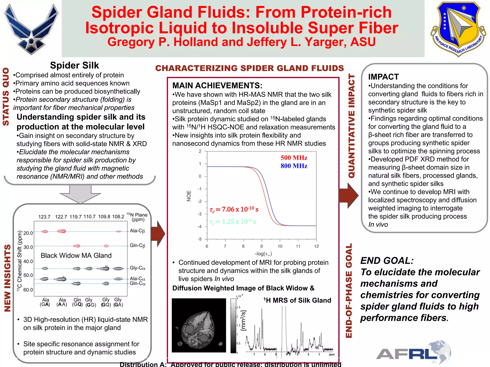 Spider Gland Fluids: From Protein-rich
Isotropic Liquid to Insoluble Super Fiber
Gregory P. Holland and Jeffery L. Yarger, ASU
QUANTITATIVEIMPACTEND-OF-PHASEGOAL
STATUSQUO
CHARACTERIZING SPIDER GLAND FLUIDS
Understanding spider silk and its
production at the molecular level
•Gain insight on secondary structure by
studying fibers with solid-state NMR & XRD
•Elucidate the molecular mechanisms
responsible for spider silk production by
studying the gland fluid with magnetic
resonance (NMR/MRI) and other methods
MAIN ACHIEVEMENTS:
•We have shown with HR-MAS NMR that the two silk
proteins (MaSp1 and MaSp2) in the gland are in an
unstructured, random coil state
•Silk protein dynamic studied on 15N-labeled glands
with 15N/1H HSQC-NOE and relaxation measurements
•New insights into silk protein flexibility and
nanosecond dynamics from these HR NMR studies
NEWINSIGHTS
END GOAL:
To elucidate the molecular
mechanisms and
chemistries for converting
spider gland fluids to high
performance fibers.
Spider Silk
•Comprised almost entirely of protein
•Primary amino acid sequences known
•Proteins can be produced biosynthetically
•Protein secondary structure (folding) is
important for fiber mechanical properties
• 3D High-resolution (HR) liquid-state NMR
on silk protein in the major gland
• Site specific resonance assignment for
protein structure and dynamic studies
• Continued development of MRI for probing protein
structure and dynamics within the silk glands of
live spiders In vivo
IMPACT
•Understanding the conditions for
converting gland fluids to fibers rich in
secondary structure is the key to
synthetic spider silk
•Findings regarding optimal conditions
for converting the gland fluid to a
β-sheet rich fiber are transferred to
groups producing synthetic spider
silks to optimize the spinning process
•Developed PDF XRD method for
measuring β-sheet domain size in
natural silk fibers, processed glands,
and synthetic spider silks
•We continue to develop MRI with
localized spectroscopy and diffusion
weighted imaging to interrogate
the spider silk producing process
In vivo
Black Widow MA Gland
500 MHz
800 MHz
τc = 7.06 x 10-10 s
τc = 1.25 x 10-9 s
[mm2/s]
Diffusion Weighted Image of Black Widow &
1H MRS of Silk Gland
Distribution A: Approved for public release; distribution is unlimited
 