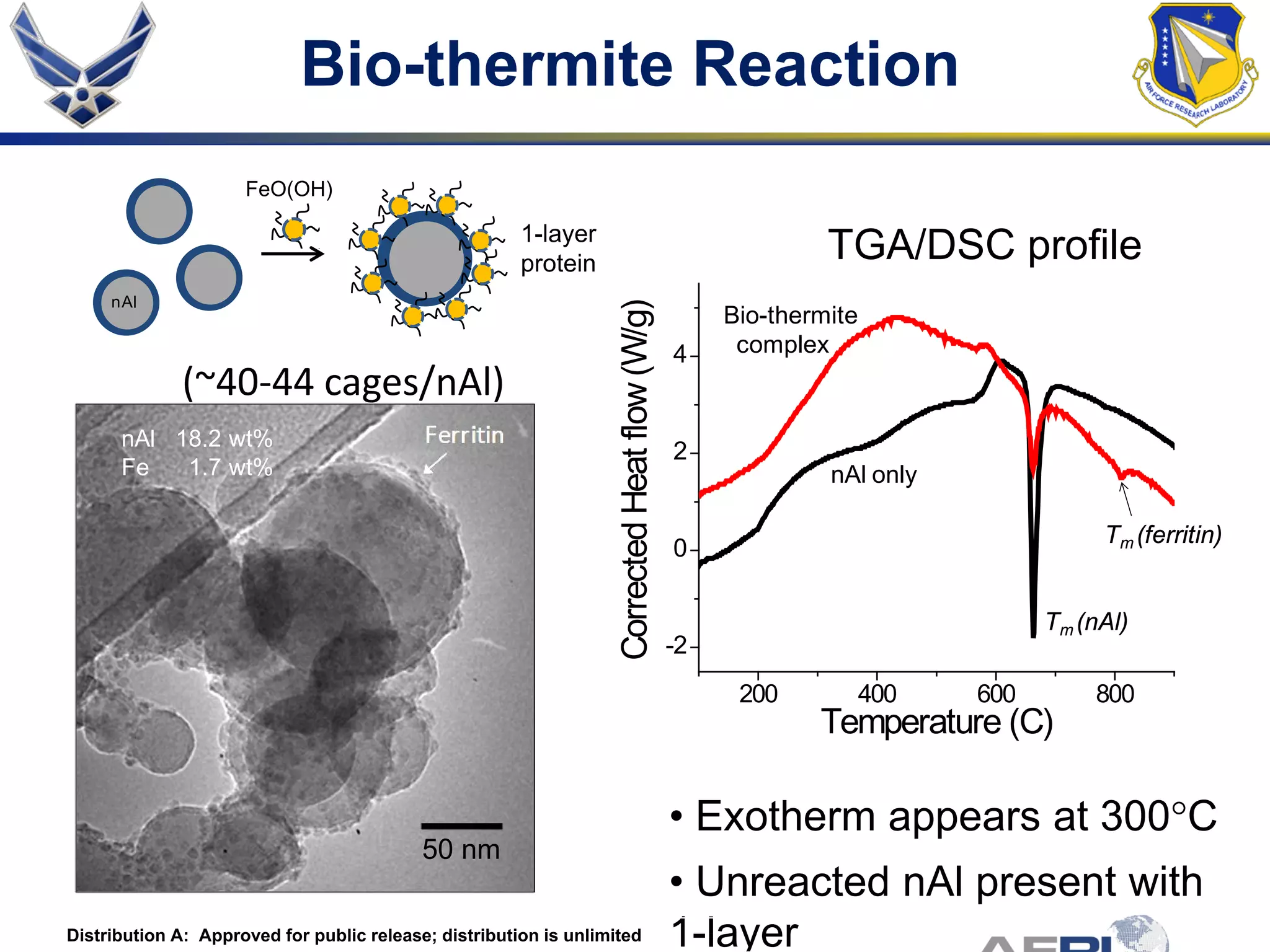 nAl 18.2 wt%
Fe 1.7 wt%
50 nm
200 400 600 800
-2
0
2
4
CorrectedHeatflow(W/g)
Temperature (C)
Tm (ferritin)
Tm (nAl)
Bio-thermite
complex
nAl only
nAl
FeO(OH)
TGA/DSC profile
(~40-44 cages/nAl)
Bio-thermite Reaction
1-layer
protein
• Exotherm appears at 300°C
• Unreacted nAl present with
1-layerDistribution A: Approved for public release; distribution is unlimited
 