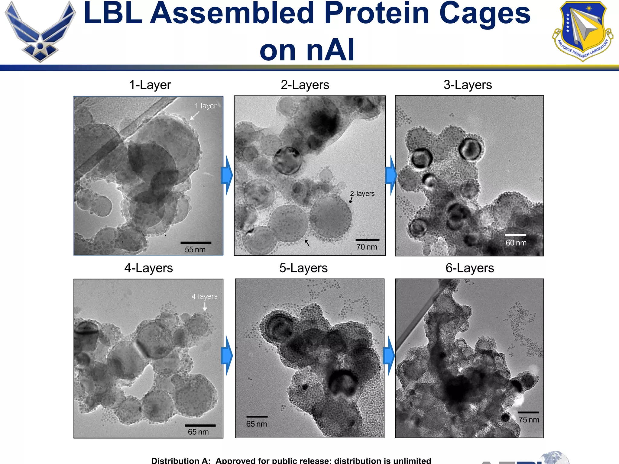 1-Layer 2-Layers 3-Layers
4-Layers 5-Layers 6-Layers
2-layers
70 nm
60 nm
65 nm
75 nm
55 nm
65 nm
LBL Assembled Protein Cages
on nAl
Distribution A: Approved for public release; distribution is unlimited
 