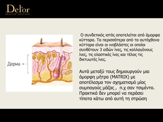 Αυτά μεταξύ τους δημιουργούν μια
άμορφη μήτρα (MATRIX) με
αποτέλεσμα τον σχηματισμό μίας
συμπαγούς μάζας , π.χ σαν τσιμέντο.
Πρακτικά δεν μπορεί να περάσει
τίποτα κάτω από αυτή τη στρώση
Ο συνδετικός ιστός αποτελείται από άμορφα
κύτταρα. Τα περισσότερα από τα αυτόχθονα
κύτταρα είναι οι ινοβλάστες οι οποίοι
συνθέτουν 3 ειδών ίνες, τις κολλαγόνους
ίνες, τις ελαστικές ίνες και τέλος τις
δικτυωτές ίνες.
 