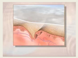 Видео длинный трек
 