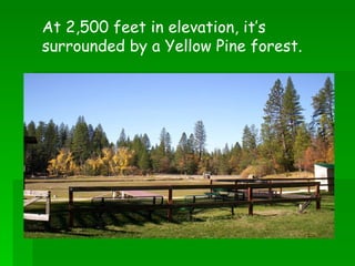 At 2,500 feet in elevation, it’s surrounded by a Yellow Pine forest. 