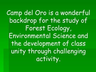 Camp del Oro is a wonderful backdrop for the study of Forest Ecology, Environmental Science and the development of class unity through challenging activity. 