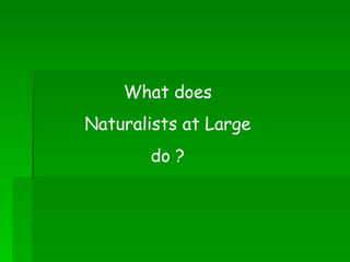 What does Naturalists at Large do ? 