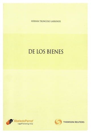 De los Bienes - Hernan Troncoso L.pdf