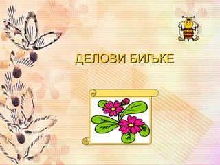 Делови биљке | PPT