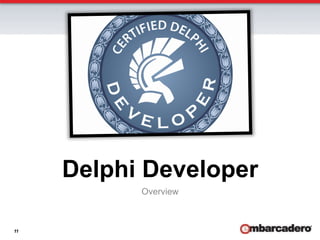 Delphi Developer
           Overview



11
 