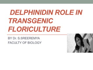 DELPHINIDIN ROLE IN
TRANSGENIC
FLORICULTURE
BY Dr. S.SREEREMYA
FACULTY OF BIOLOGY
 