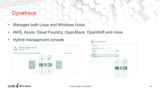 40© 2016 Delphix Corporation
Dynatrace
• Manages both Linux and Windows hosts
• AWS, Azure, Cloud Foundry, OpenStack, OpenShift and more.
• Hybrid management console
 