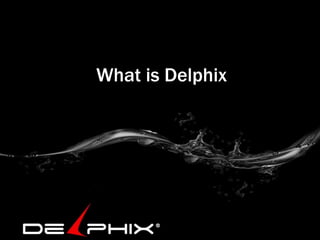 What is Delphix

 