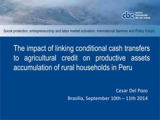 Social protection, entrepreneurship and labor market activation; International Seminar and Policy Forum. 
The impact of linking conditional cash transfers 
to agricultural credit on productive assets 
accumulation of rural households in Peru 
Cesar Del Pozo 
Brasilia, September 10th – 11th 2014 
 