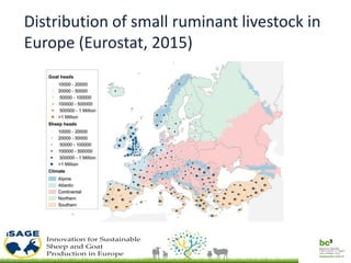 Distribution of small ruminant livestock in
Europe (Eurostat, 2015)
 
