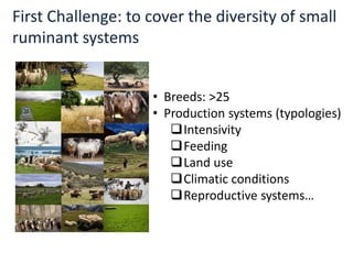 First Challenge: to cover the diversity of small
ruminant systems
• Breeds: >25
• Production systems (typologies)
Intensivity
Feeding
Land use
Climatic conditions
Reproductive systems…
 