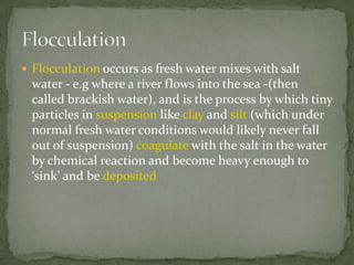  Flocculation occurs as fresh water mixes with salt
 water - e.g where a river flows into the sea -(then
 called brackish water), and is the process by which tiny
 particles in suspension like clay and silt (which under
 normal fresh water conditions would likely never fall
 out of suspension) coagulate with the salt in the water
 by chemical reaction and become heavy enough to
 ‘sink’ and be deposited
 