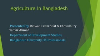 Agriculture in Bangladesh
Presented by Ridwan Islam Sifat & Chowdhury
Tanvir Ahmed
Department of Development Studies,
Bangladesh University Of Professionals
 
