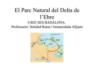 El Parc Natural del Delta de l’Ebre USEE SES BADALONA.  Professores: Soledad Rama i Immaculada Alijarte 