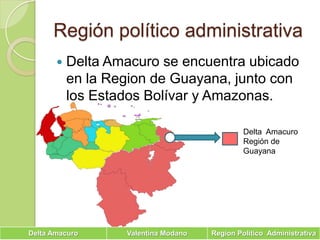 Región político administrativaDelta Amacuro se encuentra ubicado en la Region de Guayana, junto con los Estados Bolívar y Amazonas.     Delta  AmacuroRegión de Guayana