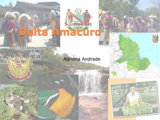 Delta Amacuro Adriana Andrade 