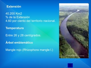 Extensión

40.200 Km2
% de la Extensión
4.60 por ciento del territorio nacional.

Temperatura

Entre 26 y 28 centígrados.

Árbol emblemático

Mangle rojo (Rhizophora mangle l.)
 