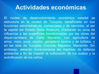 Actividades económicas
El núcleo de desenvolvimiento económico estadal se
estructura en la ciudad de Tucupita, beneficiada en sus
funciones administrativas, comerciales y de servicios, al ser
la capital del Estado Delta Amacuro, irradiando su zona de
influencia a las superficies transformadas por las obras del
dique-carretera de Caño Manamo, con agricultura de
arroz, maíz, yuca, ocumo, ganadería bovina y de búfalos, y
en las islas de Tucupita, Cocuina, Macareo, Manamito. Sin
embargo, deberán incrementarse las medidas de defensa
ambiental a fin de impedir la sulfuración de los suelos y la
eutroficación de los caños.
 